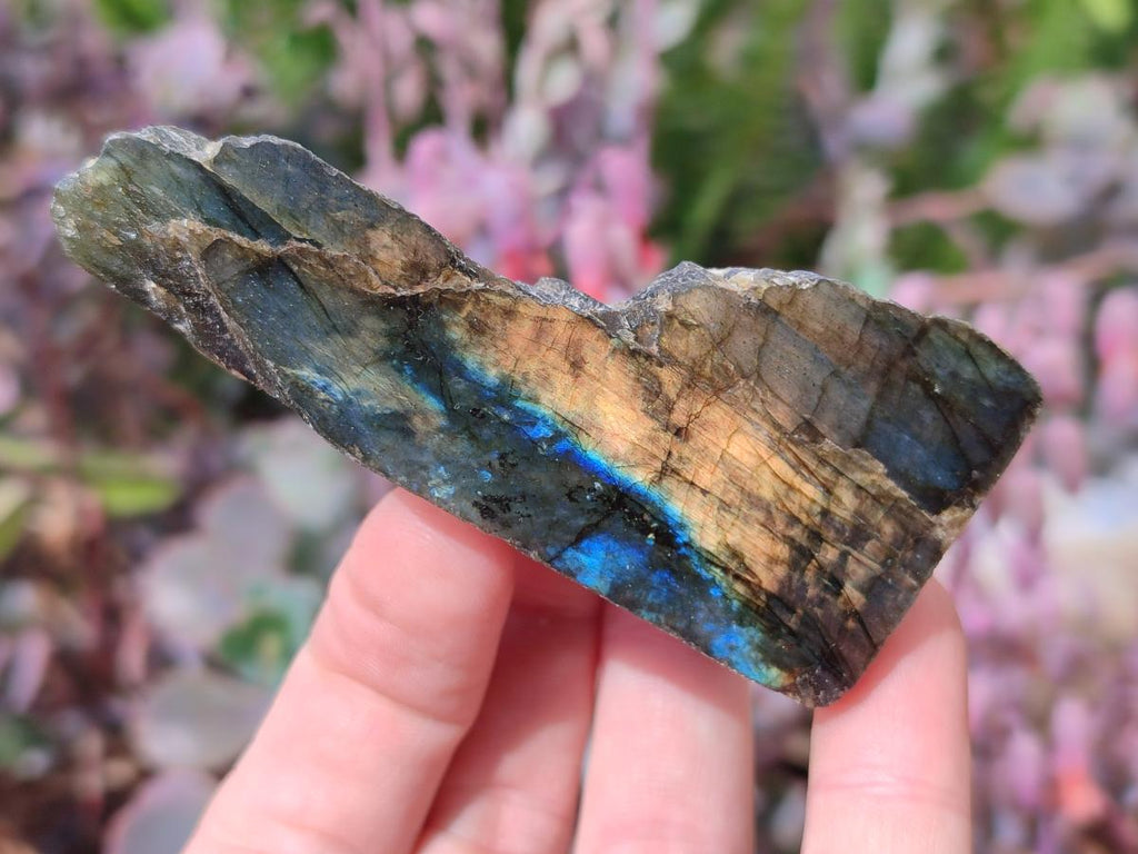 Polished One Side Labradorite Slices x 24 From Madagascar - Toprock Gemstones and Minerals 