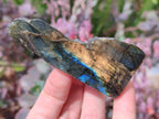 Polished One Side Labradorite Slices x 24 From Madagascar - Toprock Gemstones and Minerals 