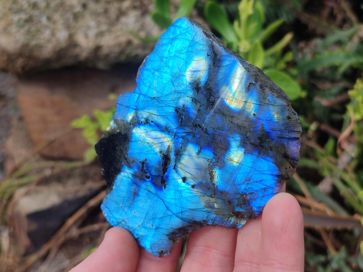 Polished One Side Labradorite Slices x 24 From Madagascar - Toprock Gemstones and Minerals 