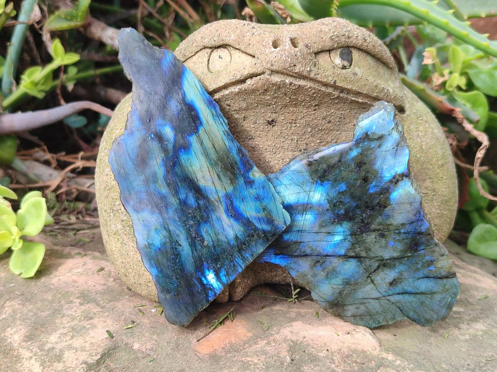 Polished One Side Labradorite Slices x 24 From Madagascar - Toprock Gemstones and Minerals 