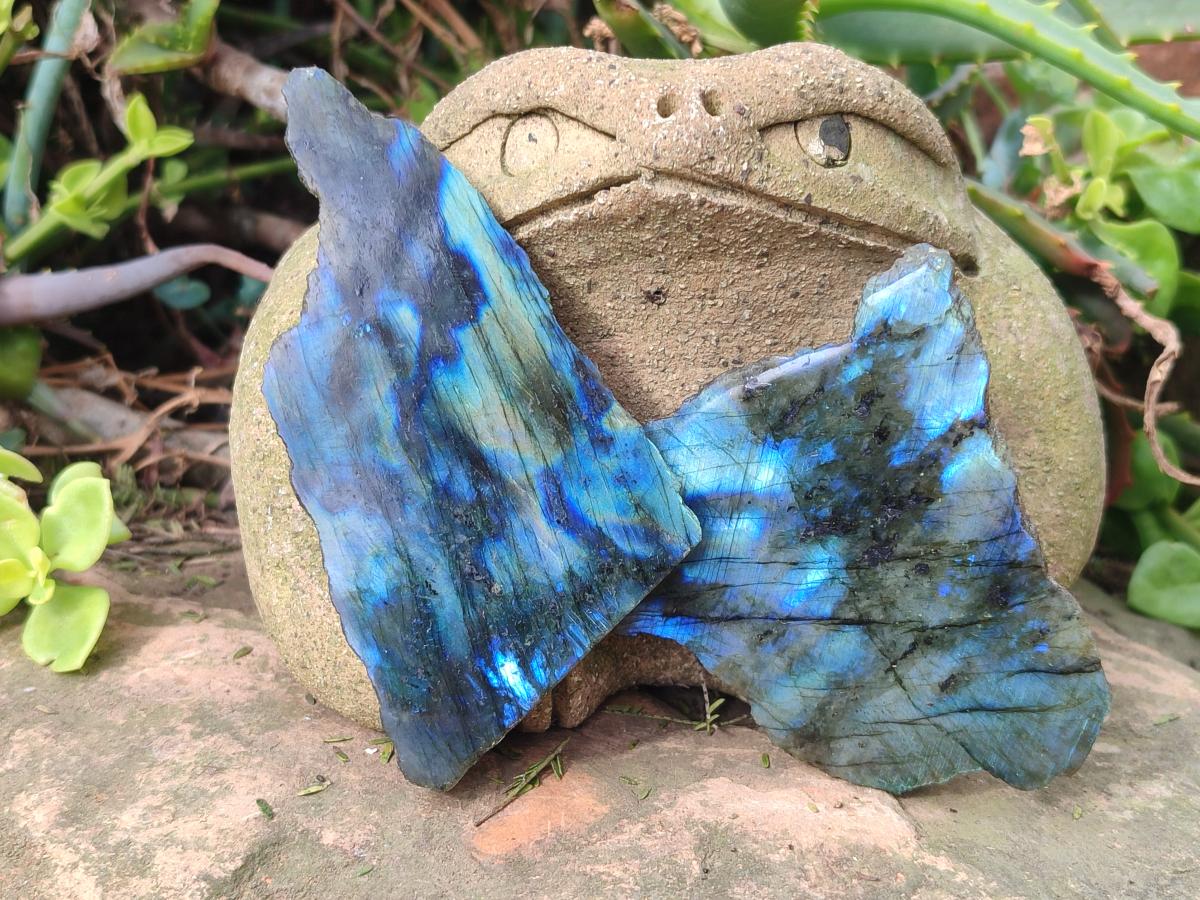 Polished One Side Labradorite Slices x 24 From Madagascar - Toprock Gemstones and Minerals 