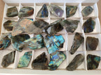 Polished One Side Labradorite Slices x 24 From Madagascar - Toprock Gemstones and Minerals 