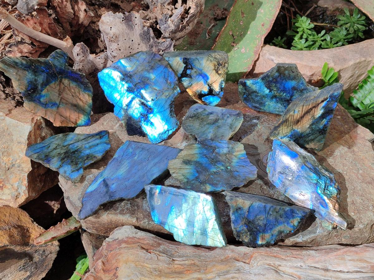 Polished One Side Labradorite Slices x 24 From Madagascar - Toprock Gemstones and Minerals 