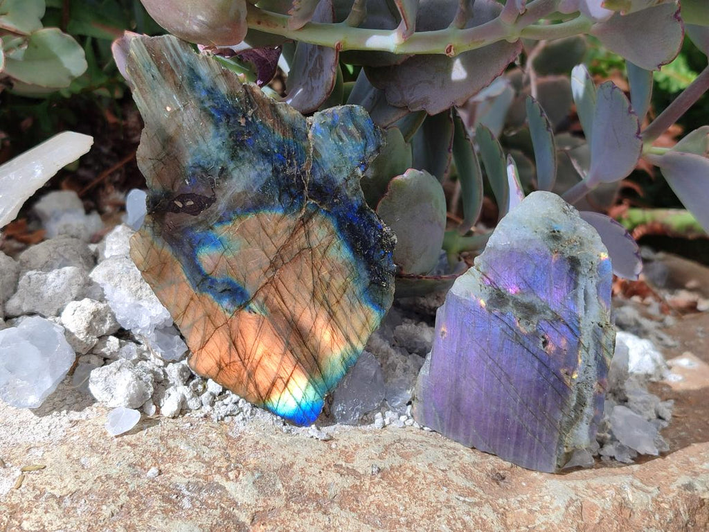 Polished One Side Labradorite Slices x 24 From Madagascar - Toprock Gemstones and Minerals 