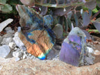 Polished One Side Labradorite Slices x 24 From Madagascar - Toprock Gemstones and Minerals 