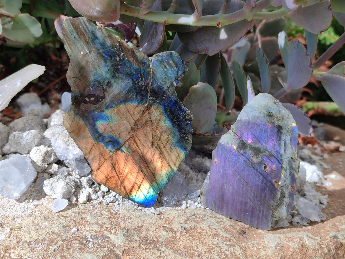 Polished One Side Labradorite Slices x 24 From Madagascar - Toprock Gemstones and Minerals 