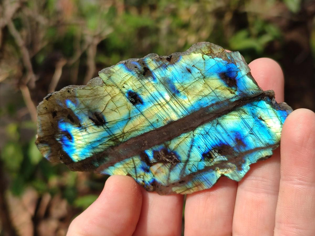 Polished One Side Labradorite Slices x 24 From Madagascar - Toprock Gemstones and Minerals 