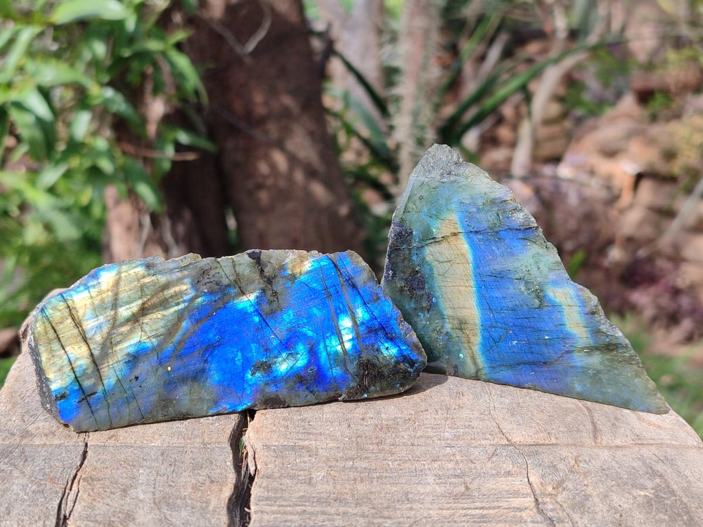 Polished One Side Labradorite Slices x 24 From Madagascar - Toprock Gemstones and Minerals 