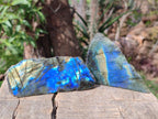 Polished One Side Labradorite Slices x 24 From Madagascar - Toprock Gemstones and Minerals 