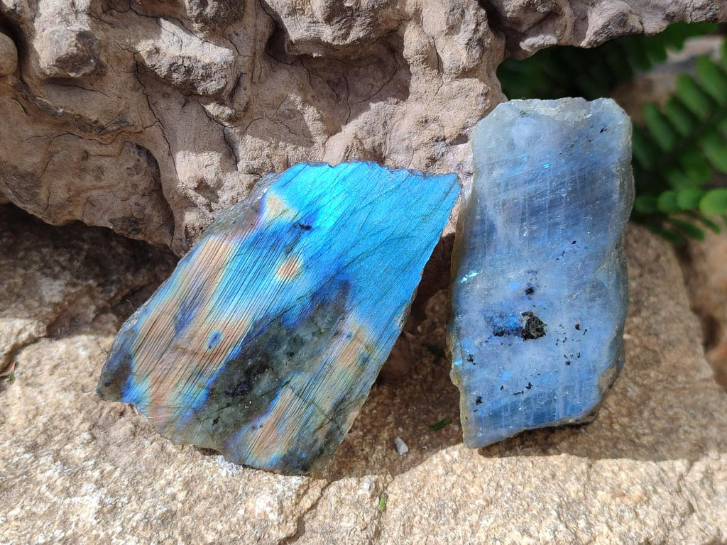 Polished One Side Labradorite Slices x 24 From Madagascar - Toprock Gemstones and Minerals 