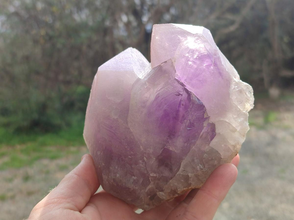 Natural Jacaranda Amethyst Clusters x 2 From Mumbwa, Zambia - Toprock Gemstones and Minerals 