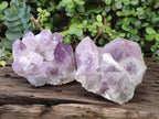 Natural Jacaranda Amethyst Clusters x 2 From Mumbwa, Zambia - Toprock Gemstones and Minerals 