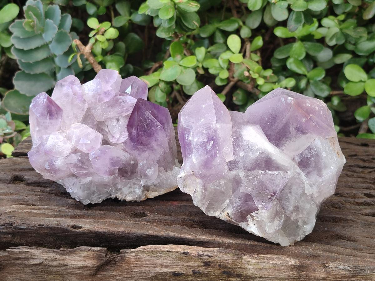 Natural Jacaranda Amethyst Clusters x 2 From Mumbwa, Zambia - Toprock Gemstones and Minerals 