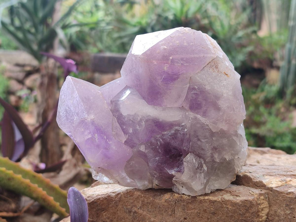 Natural Jacaranda Amethyst Clusters x 2 From Mumbwa, Zambia - Toprock Gemstones and Minerals 