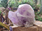 Natural Jacaranda Amethyst Clusters x 2 From Mumbwa, Zambia - Toprock Gemstones and Minerals 