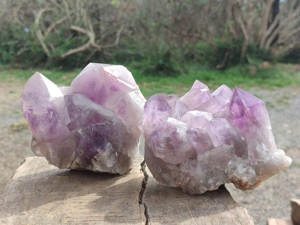 Natural Jacaranda Amethyst Clusters x 2 From Mumbwa, Zambia - Toprock Gemstones and Minerals 
