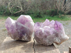 Natural Jacaranda Amethyst Clusters x 2 From Mumbwa, Zambia - Toprock Gemstones and Minerals 