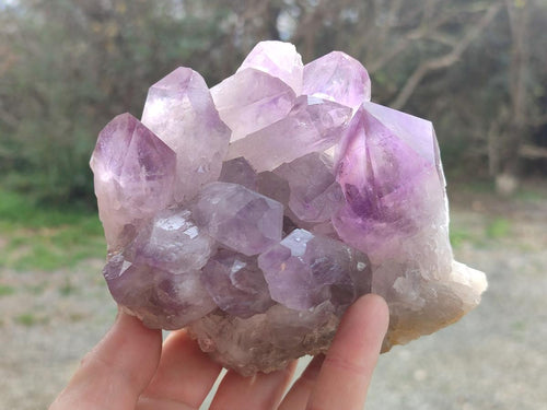 Natural Jacaranda Amethyst Clusters x 2 From Mumbwa, Zambia - Toprock Gemstones and Minerals 