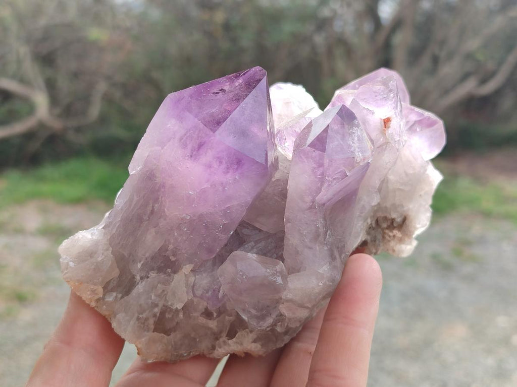 Natural Jacaranda Amethyst Clusters x 2 From Mumbwa, Zambia - Toprock Gemstones and Minerals 