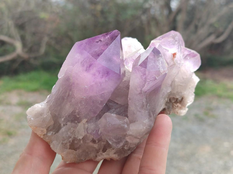 Natural Jacaranda Amethyst Clusters x 2 From Mumbwa, Zambia - Toprock Gemstones and Minerals 