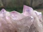 Natural Jacaranda Amethyst Clusters x 2 From Mumbwa, Zambia - Toprock Gemstones and Minerals 