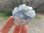 Natural Blue Celestite Specimens x 8 From Sakoany, Madagascar - Toprock Gemstones and Minerals 