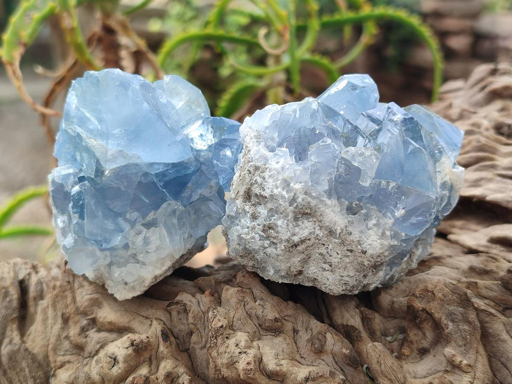 Natural Blue Celestite Specimens x 8 From Sakoany, Madagascar - Toprock Gemstones and Minerals 