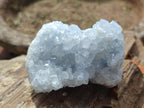 Natural Blue Celestite Specimens x 8 From Sakoany, Madagascar - Toprock Gemstones and Minerals 