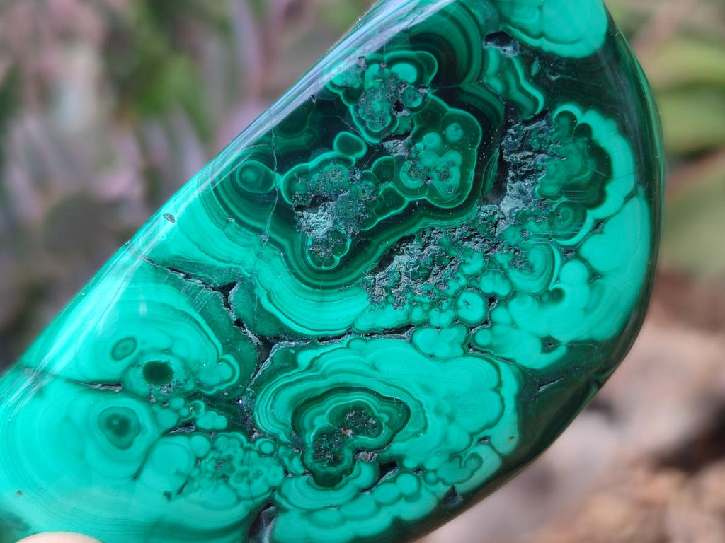 Polished and Natural Flower Banded Malachite Free Forms x 6 From Congo - Toprock Gemstones and Minerals 