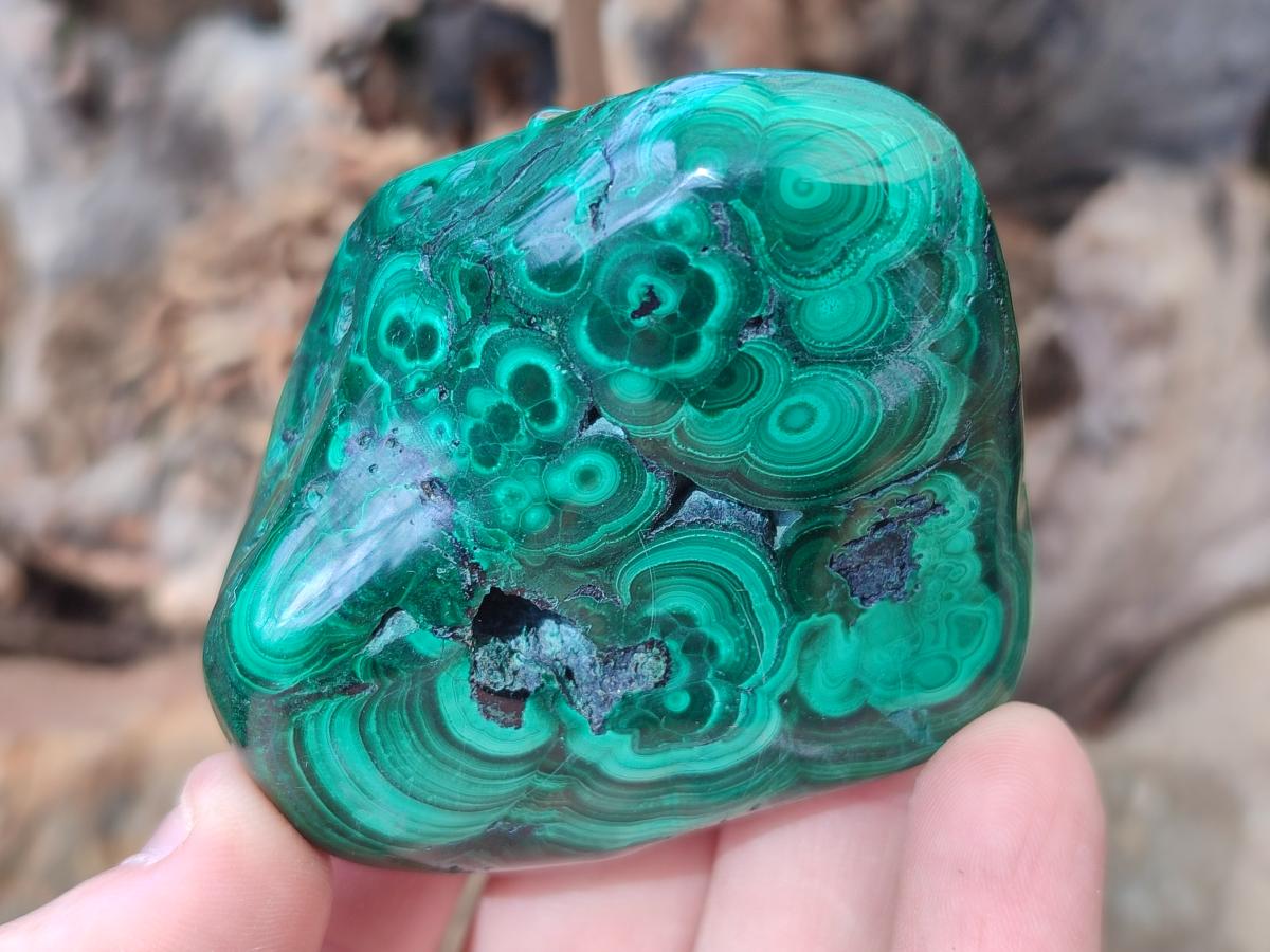 Polished and Natural Flower Banded Malachite Free Forms x 6 From Congo - Toprock Gemstones and Minerals 