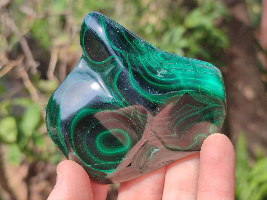 Polished and Natural Flower Banded Malachite Free Forms x 6 From Congo - Toprock Gemstones and Minerals 
