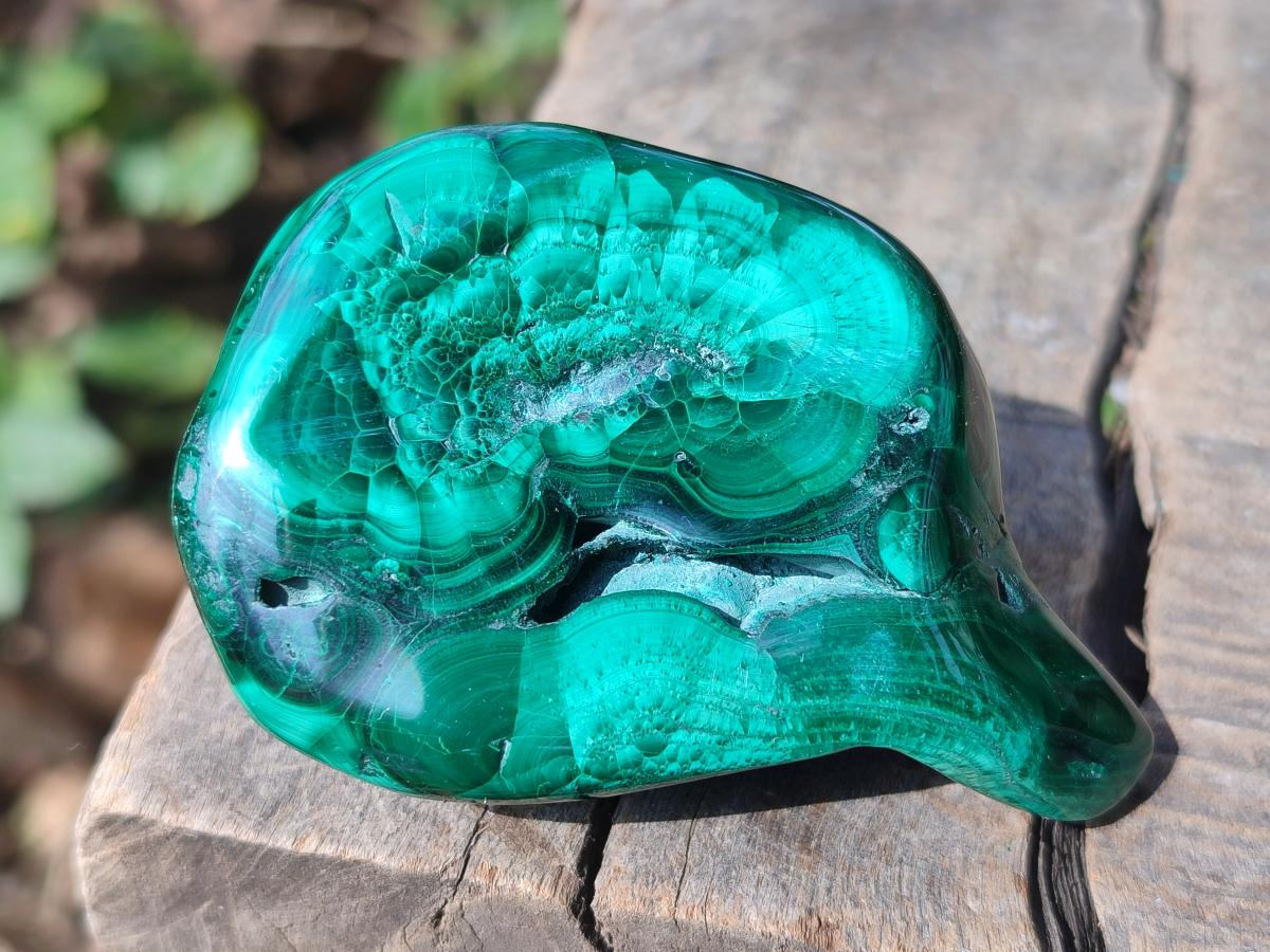 Polished and Natural Flower Banded Malachite Free Forms x 6 From Congo - Toprock Gemstones and Minerals 
