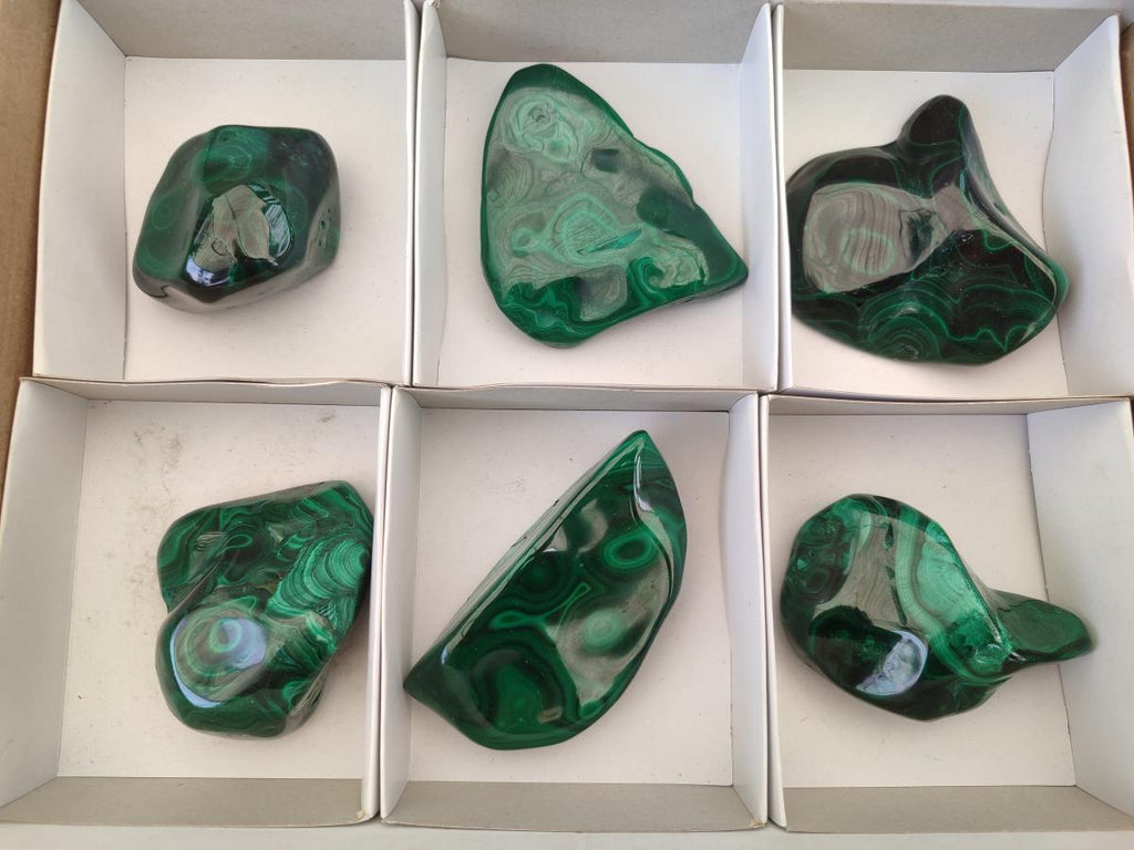 Polished and Natural Flower Banded Malachite Free Forms x 6 From Congo - Toprock Gemstones and Minerals 