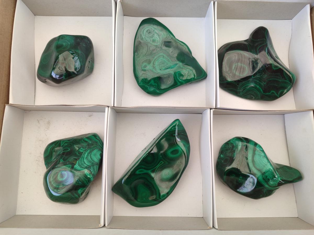 Polished and Natural Flower Banded Malachite Free Forms x 6 From Congo - Toprock Gemstones and Minerals 