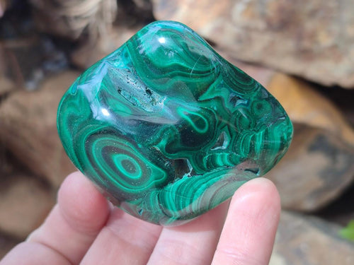 Polished and Natural Flower Banded Malachite Free Forms x 6 From Congo - Toprock Gemstones and Minerals 
