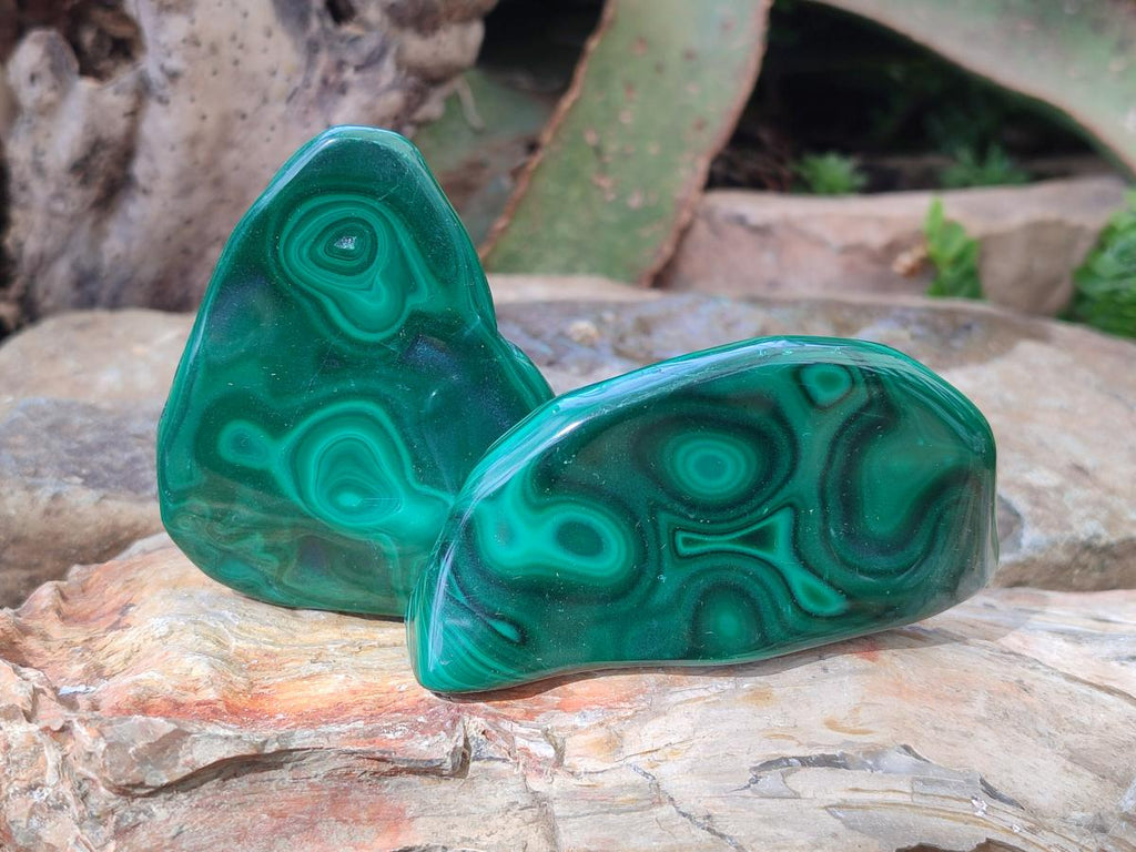 Polished and Natural Flower Banded Malachite Free Forms x 6 From Congo - Toprock Gemstones and Minerals 