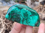 Polished and Natural Flower Banded Malachite Free Forms x 6 From Congo - Toprock Gemstones and Minerals 