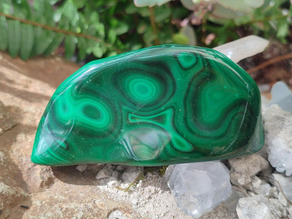 Polished and Natural Flower Banded Malachite Free Forms x 6 From Congo - Toprock Gemstones and Minerals 