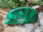 Polished and Natural Flower Banded Malachite Free Forms x 6 From Congo - Toprock Gemstones and Minerals 