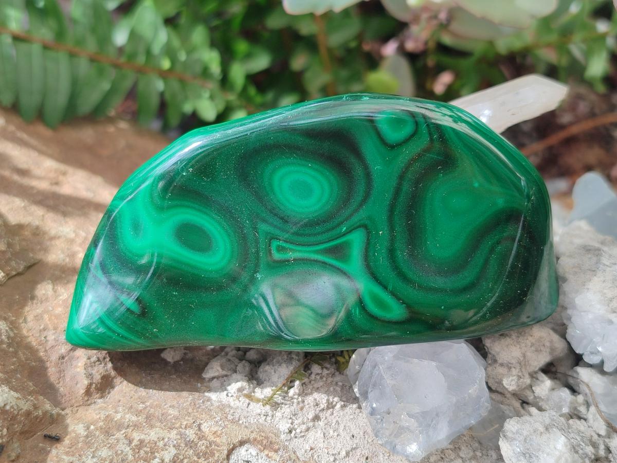 Polished and Natural Flower Banded Malachite Free Forms x 6 From Congo - Toprock Gemstones and Minerals 