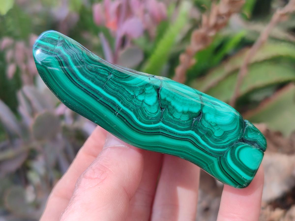 Polished and Natural Flower Banded Malachite Free Forms x 6 From Congo - Toprock Gemstones and Minerals 