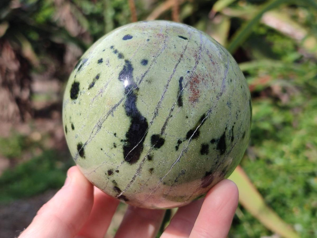 Polished Leopard Stone Spheres x 2 From Zimbabwe - Toprock Gemstones and Minerals 