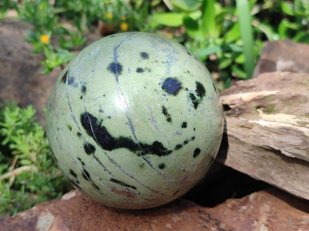 Polished Leopard Stone Spheres x 2 From Zimbabwe - Toprock Gemstones and Minerals 