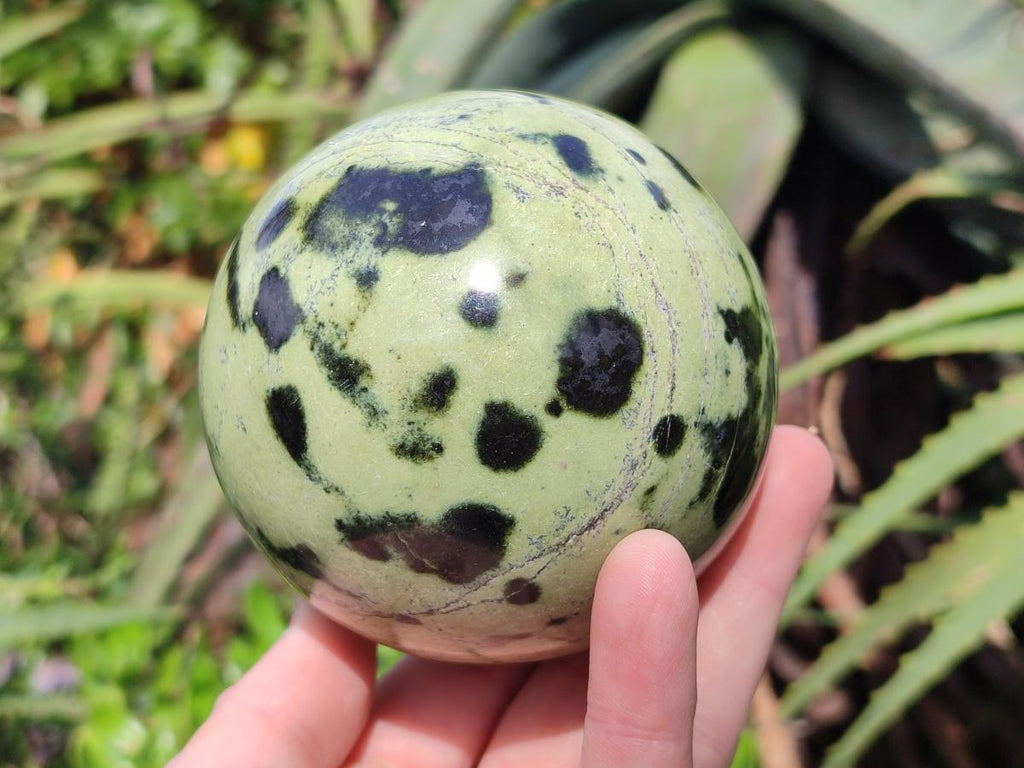 Polished Leopard Stone Spheres x 2 From Zimbabwe - Toprock Gemstones and Minerals 