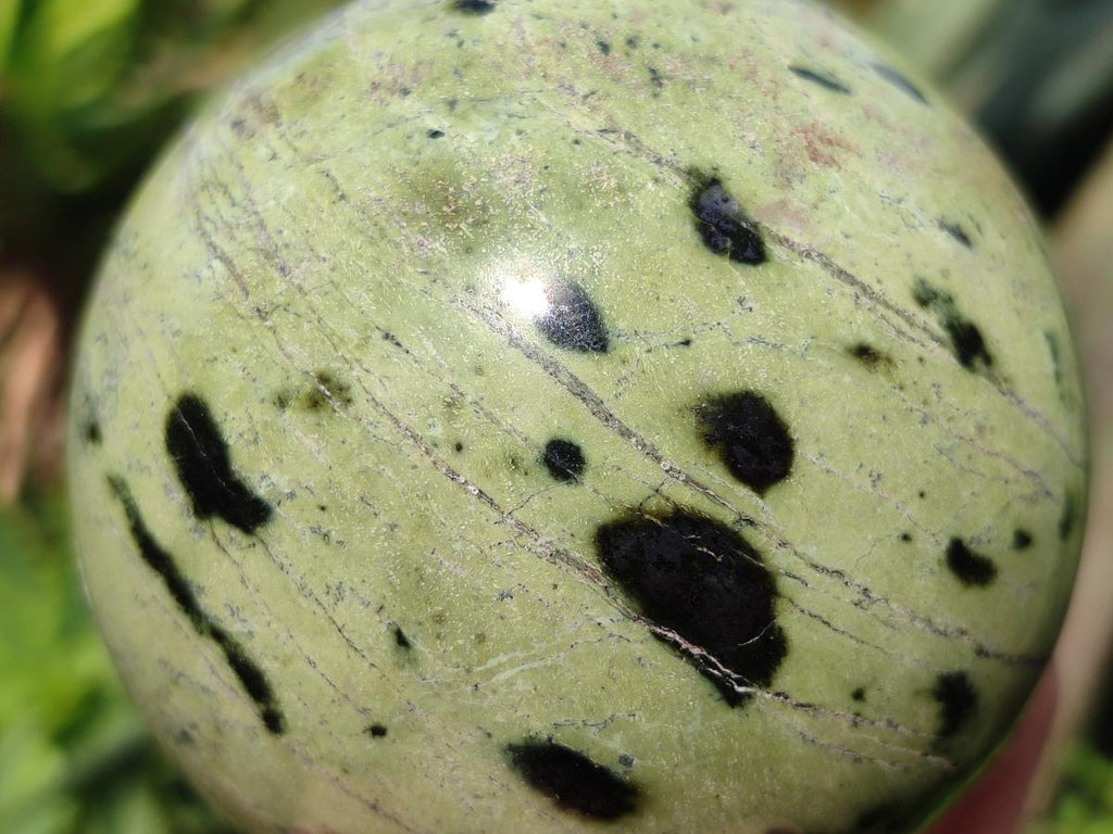 Polished Leopard Stone Spheres x 2 From Zimbabwe - Toprock Gemstones and Minerals 