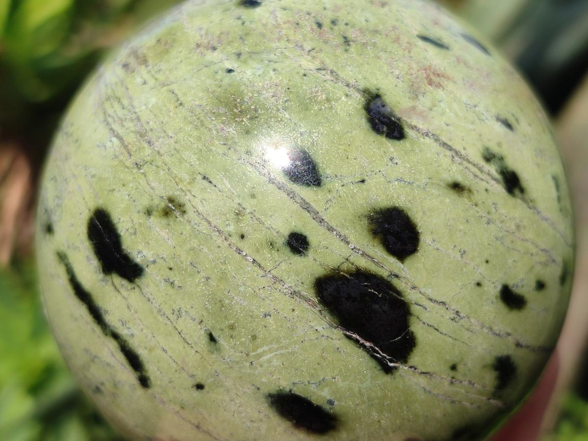 Polished Leopard Stone Spheres x 2 From Zimbabwe - Toprock Gemstones and Minerals 