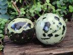 Polished Leopard Stone Spheres x 2 From Zimbabwe - Toprock Gemstones and Minerals 