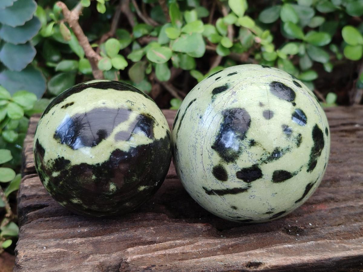 Polished Leopard Stone Spheres x 2 From Zimbabwe - Toprock Gemstones and Minerals 
