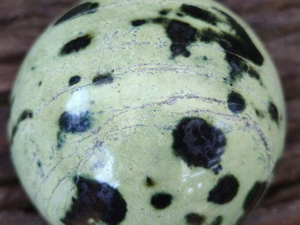 Polished Leopard Stone Spheres x 2 From Zimbabwe - Toprock Gemstones and Minerals 