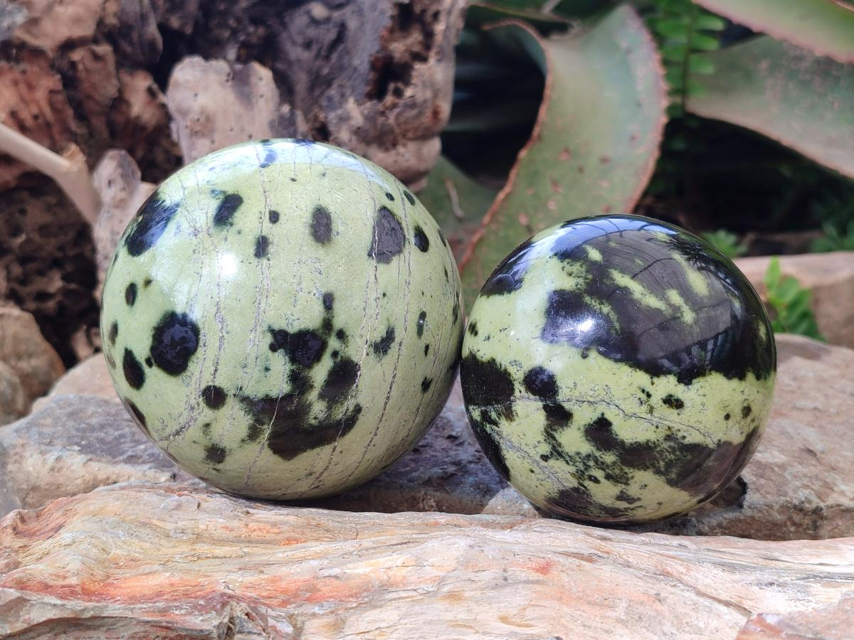 Polished Leopard Stone Spheres x 2 From Zimbabwe - Toprock Gemstones and Minerals 